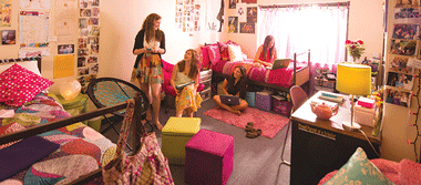 �A�C�f�����C���h�E�A�[�c�E�A�J�f�~�[ 