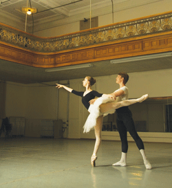 ���C���Z���g�����C���X�e�B�e���[�g