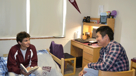 ���C���Z���g�����C���X�e�B�e���[�g