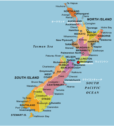 ニュージーランド留学